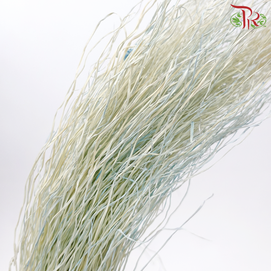 Dry Crazy Grass - Bleached Blue (Per Bunch)-Blue-Import-prflorist.com.my