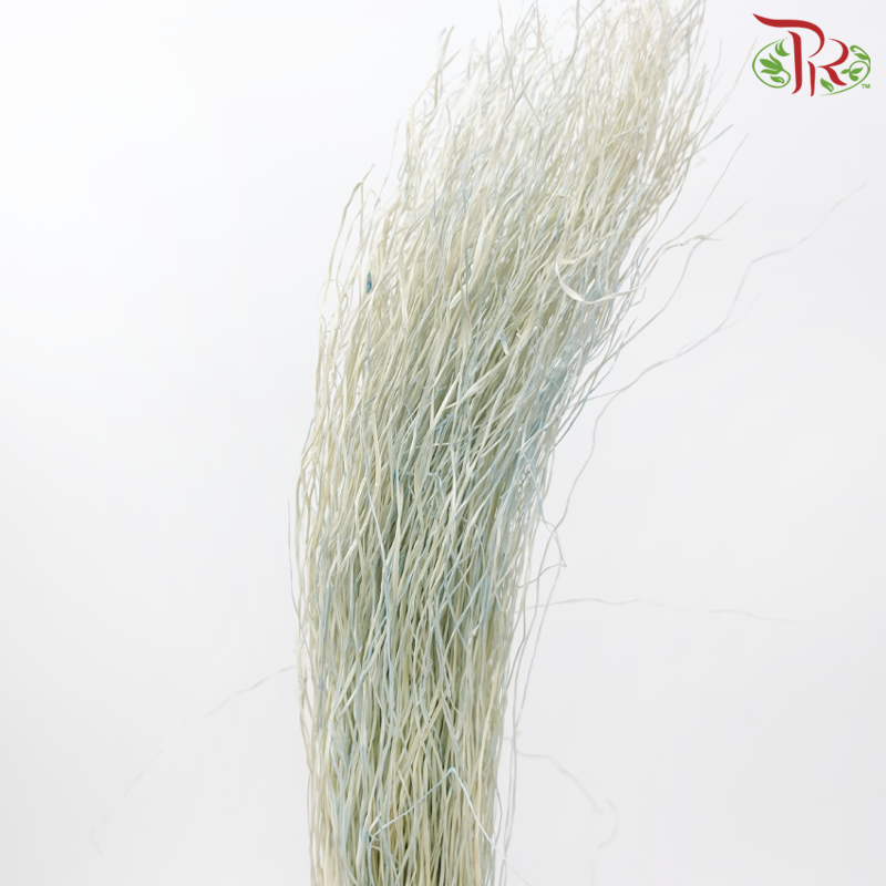 Dry Crazy Grass - Bleached Blue (Per Bunch)-Blue-Import-prflorist.com.my