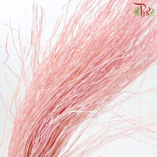 Dry Crazy Grass - Bleached Pink (Per Bunch)-Pink-Import-prflorist.com.my