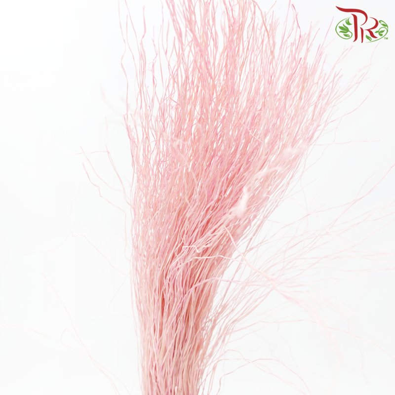 Dry Crazy Grass - Bleached Pink (Per Bunch)-Pink-Import-prflorist.com.my