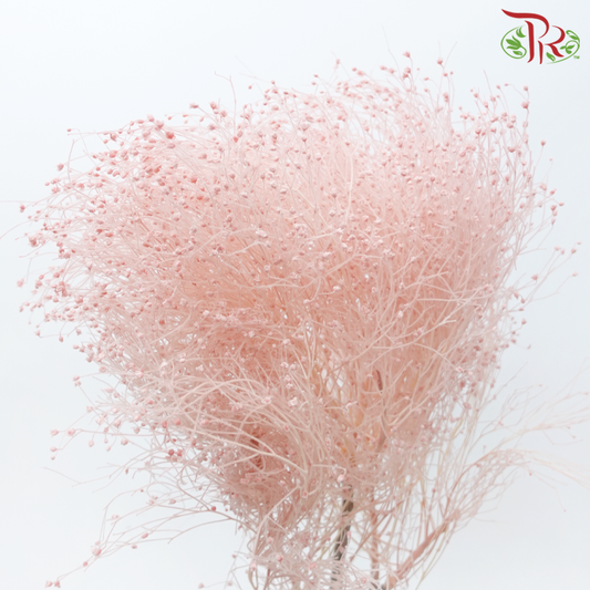 Dry Dream Grass - Pink (Per Bunch)-Pink-China-prflorist.com.my