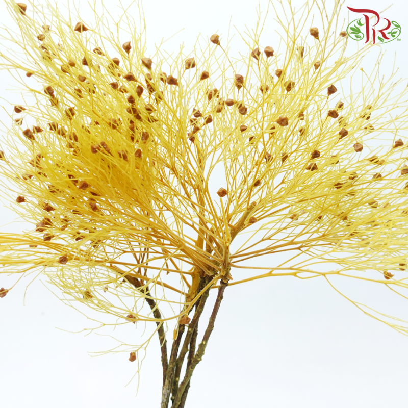 Dry Dream Grass - Yellow (Per Bunch)-Yellow-China-prflorist.com.my