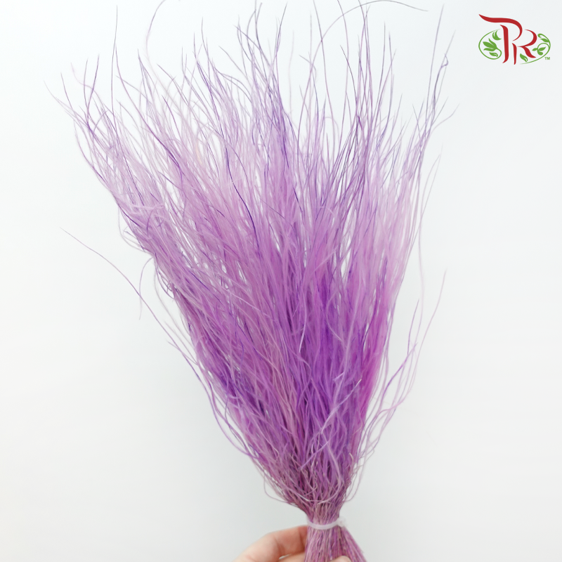 Dry Feather Grass - Purple (Per Bunch)-Purple-China-prflorist.com.my