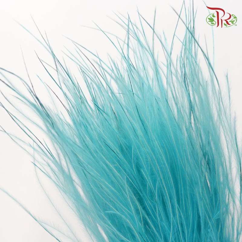 Dry Feather Grass - Turquoise (Per Bunch)-Turquoise-China-prflorist.com.my