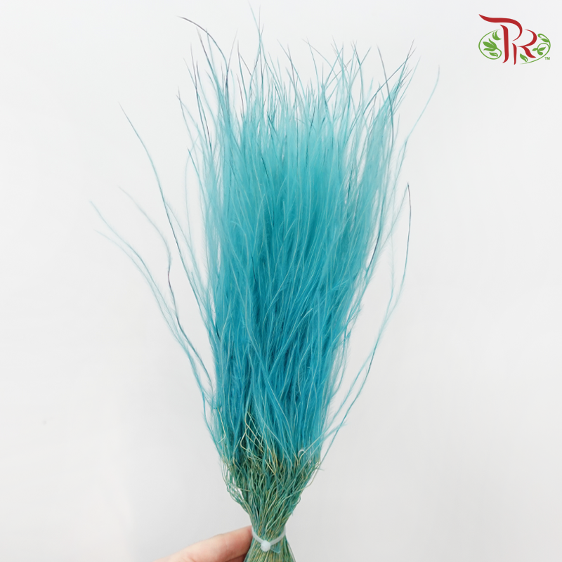 Dry Feather Grass - Turquoise (Per Bunch)-Turquoise-China-prflorist.com.my