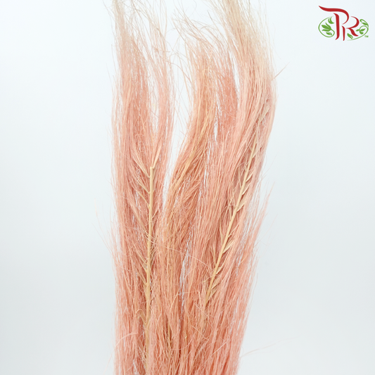 Dry Palm Bleached - Peach (5 Stems)-Pudu Ria Florist-prflorist.com.my