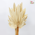 Dry Palm Dyed - Maple (5 Stems)-China-prflorist.com.my