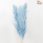 Dry Pampas 135cm - Light Blue (5 Stems)-Blue-China-prflorist.com.my