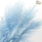 Dry Pampas 135cm - Light Blue (5 Stems)-Blue-China-prflorist.com.my