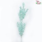 Dry Ruscus Dyed Colour - Turquoise-Turquoise-China-prflorist.com.my