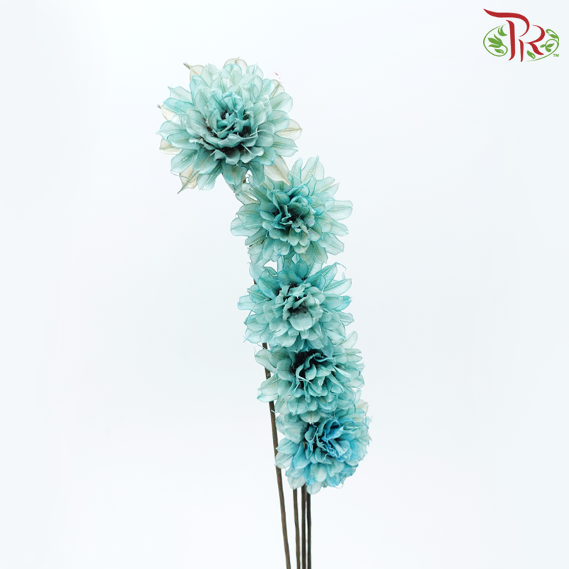 Dry Small Liju - Light Turquoise (5 Stems)-Light Turquoise-China-prflorist.com.my