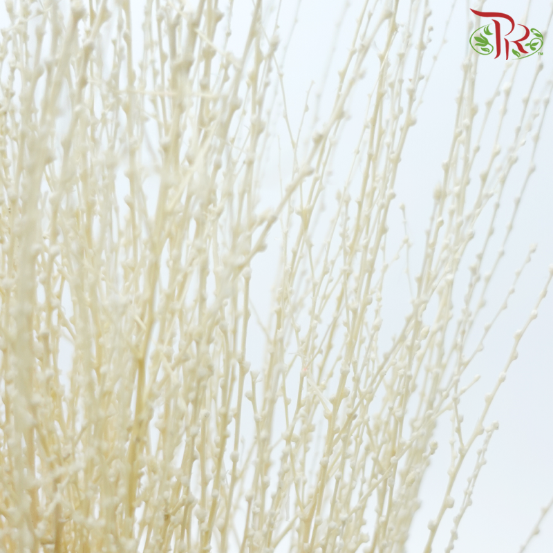 Dry Snow Grass (Per Bunch)-China-prflorist.com.my