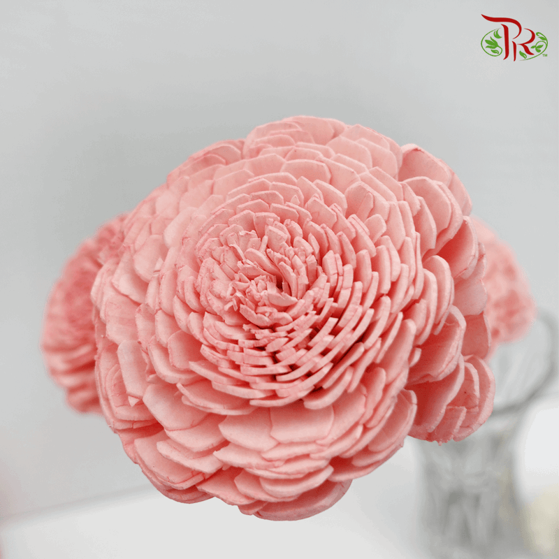 Dry Aeschynomene Small - Pink (5 Stems) - Pudu Ria Florist