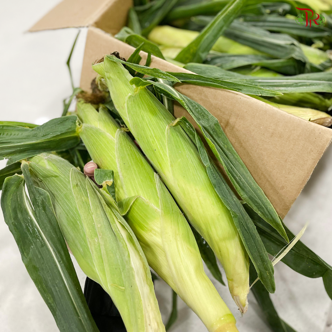 (Edible) Sweet White Corn From Cameron Highland-Pudu Ria Florist-prflorist.com.my