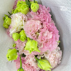 Eustoma - Sunshine Apricot Pink (650-750 Gram)-Pink-China-prflorist.com.my