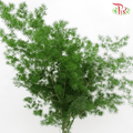 Fish Leaf - Per Bundle-Malaysia-prflorist.com.my
