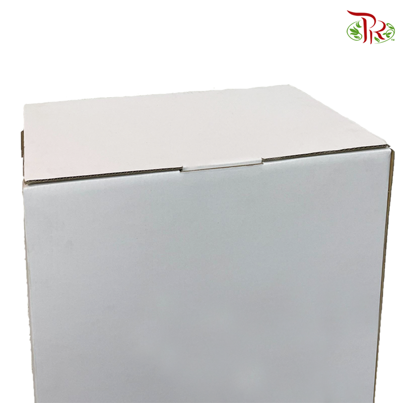 Foldable Flower Stand Box (M/L)-L- White-Pudu Ria Florist-prflorist.com.my