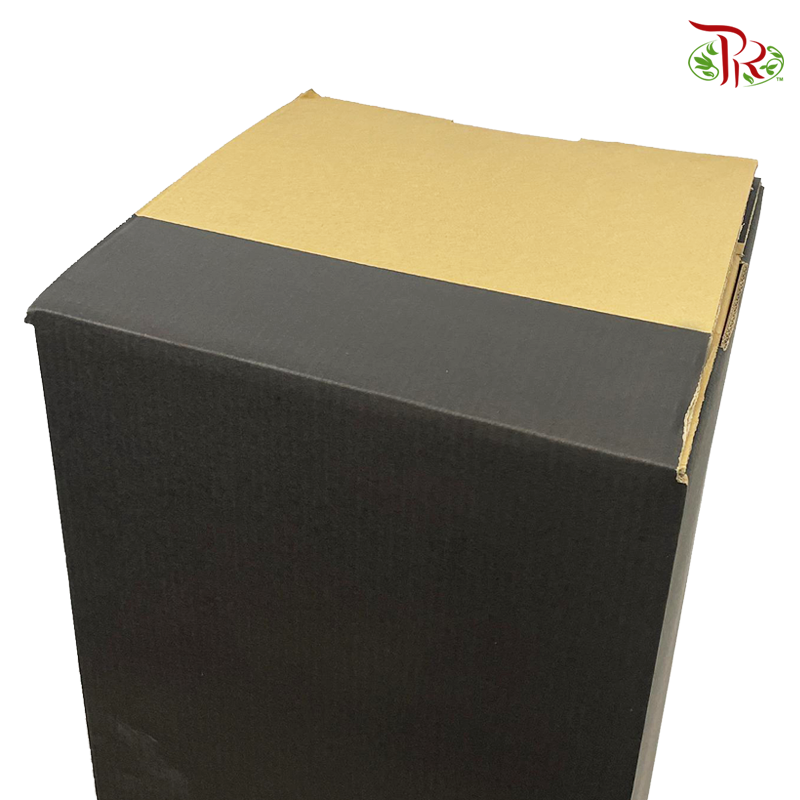 Foldable Flower Stand Box (M/L)-M-Black-Pudu Ria Florist-prflorist.com.my