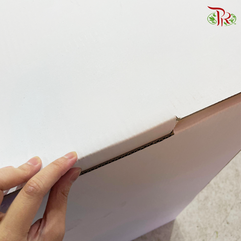 Foldable Flower Stand Box (M/L)-Pudu Ria Florist-prflorist.com.my