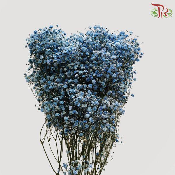F'Sani Baby's Breath Dyed - Blue (10 Stems)-Blue-Ecd-prflorist.com.my