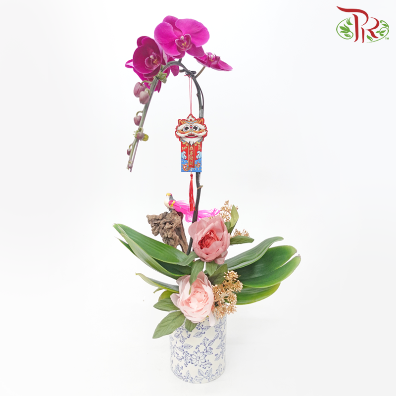 Gift Series - Premium Phalaenopsis Orchid in Qing Hua Ci Pot (With Option of Pot Printed Floral Design) & (Random Choose Orchid Colour)-Lian Hua Pot-Pudu Ria Florist-prflorist.com.my