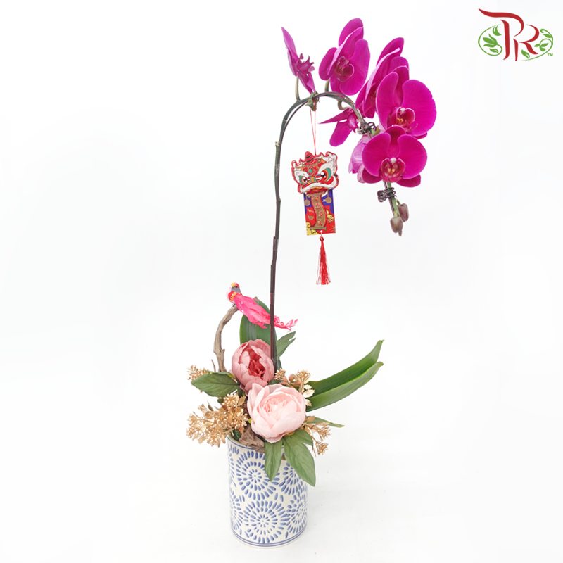 Gift Series - Premium Phalaenopsis Orchid in Qing Hua Ci Pot (With Option of Pot Printed Floral Design) & (Random Choose Orchid Colour)-Tang Cao Pot-Pudu Ria Florist-prflorist.com.my