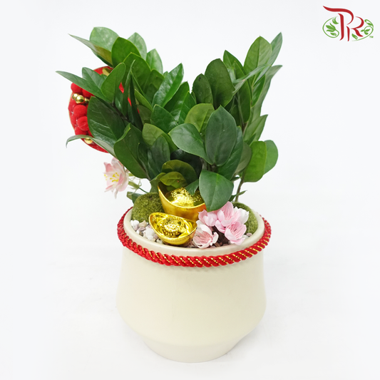 [Gift Series] Zamia Plant Arrangement《金钱树》-Pudu Ria Florist-prflorist.com.my
