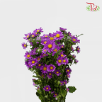 Hana - Purple (Per Bunch)-Purple-China-prflorist.com.my