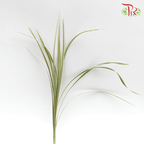 HW - Beargrass White Leaf (Ophiopogon)-Malaysia-prflorist.com.my
