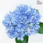 Hydrangea - Dark Blue (Per Stem)-Dark Blue-Malaysia-prflorist.com.my