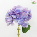 Hydrangea - Dreamy Unicorn (Per Stem)-Purple-Netherland-prflorist.com.my