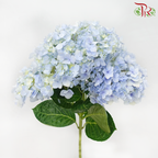 Hydrangea - Light Blue (Per Stem)-Light Blue-Malaysia-prflorist.com.my