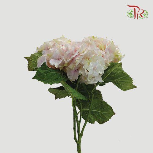 Hydrangea - Light Pink Tone (Per Stem)-Pink-Netherland-prflorist.com.my