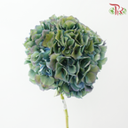 Hydrangea - Mixed Green & Blue (Per Stem)-Mixed Green & Blue-Netherland-prflorist.com.my