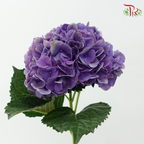 Hydrangea - Violet Purple (Per Stem) **Capitulum Measurement 11-15cm**-Purple-China-prflorist.com.my