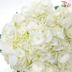 Hydrangea - White (Per Stem)-White-Malaysia-prflorist.com.my