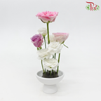 (Ikebana Kenzan Flower Frog) Jian Shan Apricot Leaf Type Stainless Steel Needle-Pudu Ria Florist-prflorist.com.my