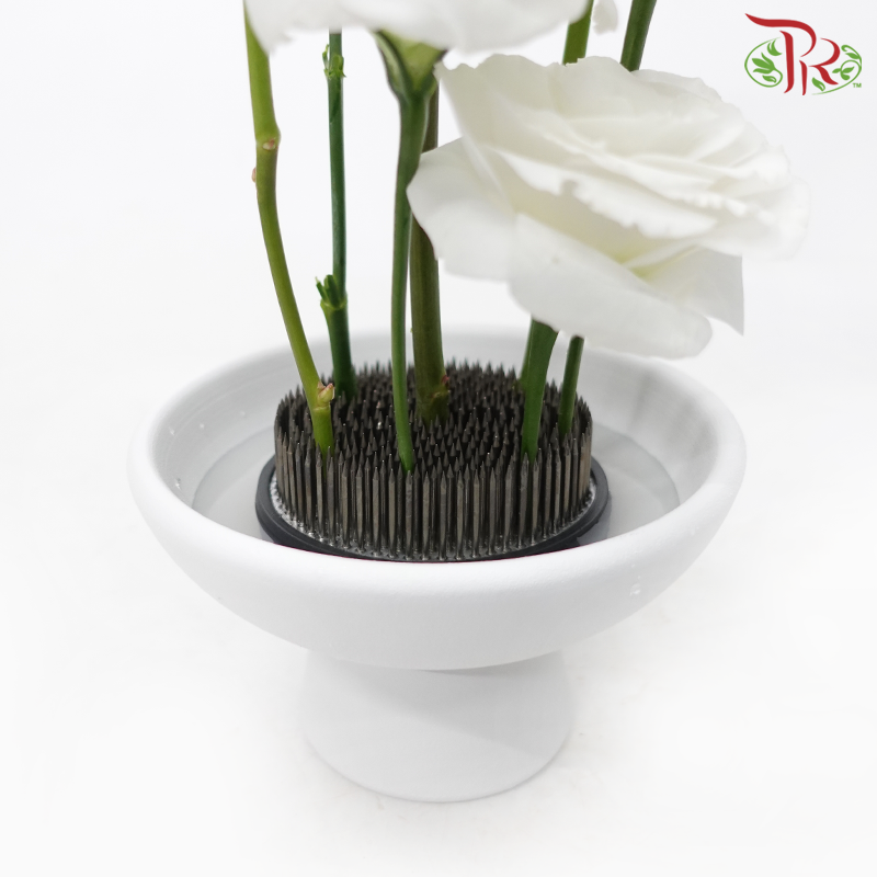 (Ikebana Kenzan Flower Frog) Jian Shan Apricot Leaf Type Stainless Steel Needle-Pudu Ria Florist-prflorist.com.my