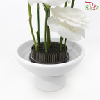 (Ikebana Kenzan Flower Frog) Jian Shan Apricot Leaf Type Stainless Steel Needle-Pudu Ria Florist-prflorist.com.my