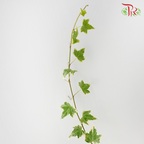 Ivy Leaf (Hedera) - Two Tone-Malaysia-prflorist.com.my