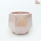 JZ-DW - Asst Pot (JZ-DW0288)-Pink-Pudu Ria Florist-prflorist.com.my