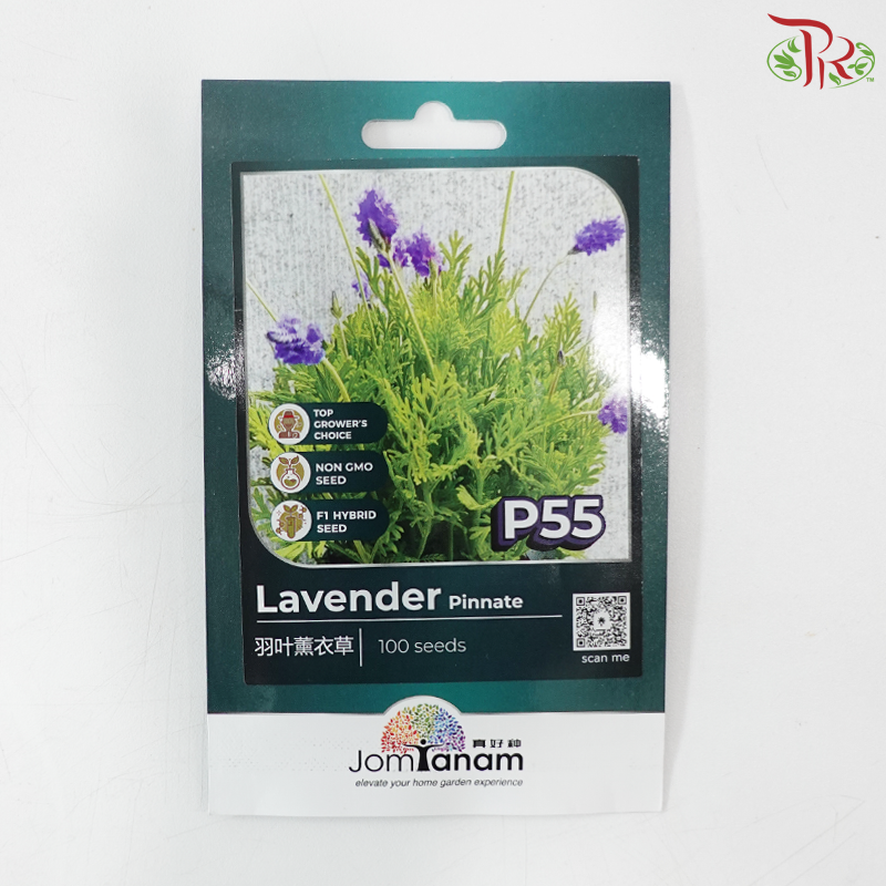 【Jom Tanam Seeds】Herbs Series (Per Pack) (With Options)