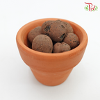 Clayball- 5L 《陶粒》