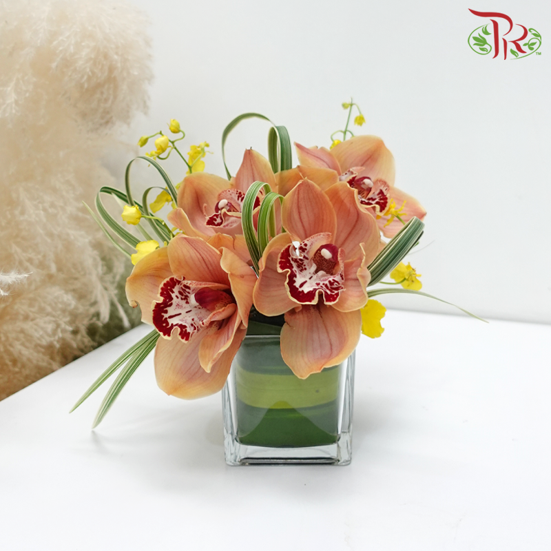 Malone Symphony (Cymbidium Arrangement in Square Vase)-Pudu Ria Florist-prflorist.com.my