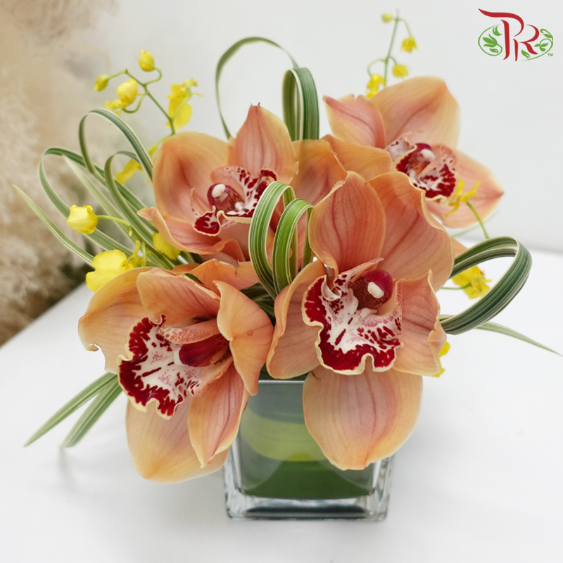 Malone Symphony (Cymbidium Arrangement in Square Vase)-Pudu Ria Florist-prflorist.com.my