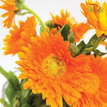 Marigold - Orange (10 Stems)-Orange-China-prflorist.com.my