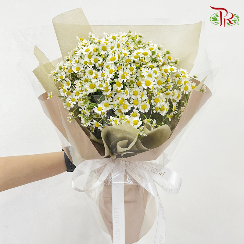 Matricaria/Chamomile Flower Bouquet  (M size)