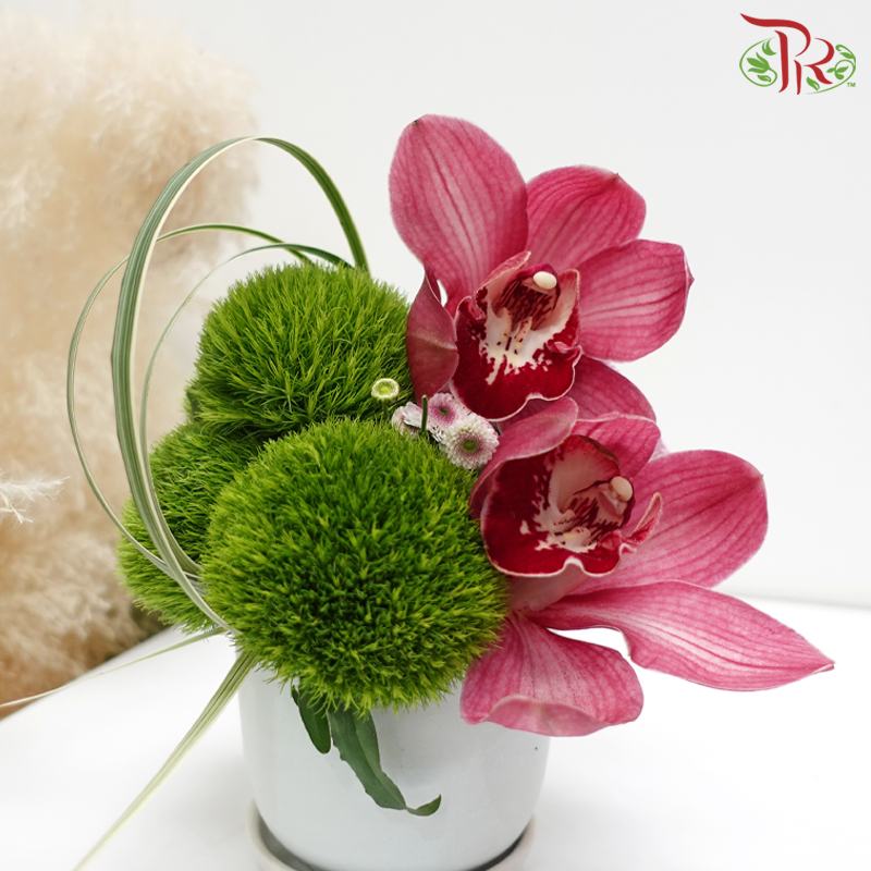 Meadow Secrets (Cymbidium Arrangement in White Pot)-Pudu Ria Florist-prflorist.com.my