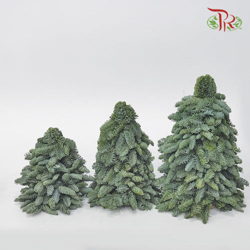 Mini Christmas Tree - (30 CM)-Pudu Ria Florist-prflorist.com.my