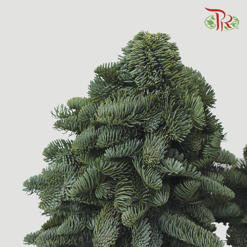 Mini Christmas Tree - (40 CM)-Pudu Ria Florist-prflorist.com.my